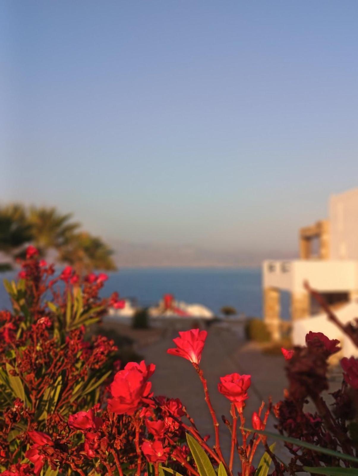 Apartmán Aura Paros Logaras Exteriér fotografie